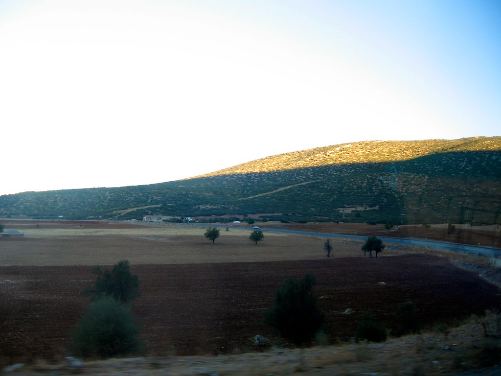 Бухты Турции и гастрономический туризм: где попробовать местные деликатесы?