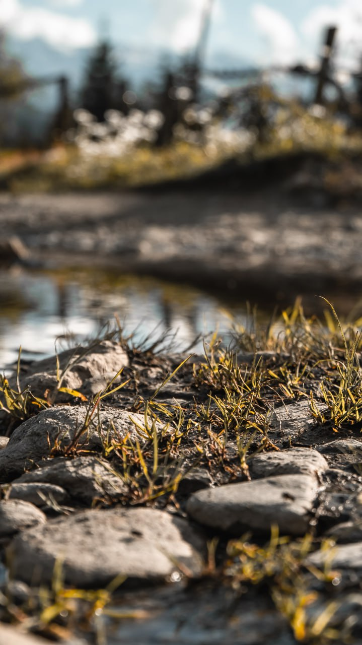 Чем заняться с детьми в Турции: экскурсии аттракционы и активный отдых