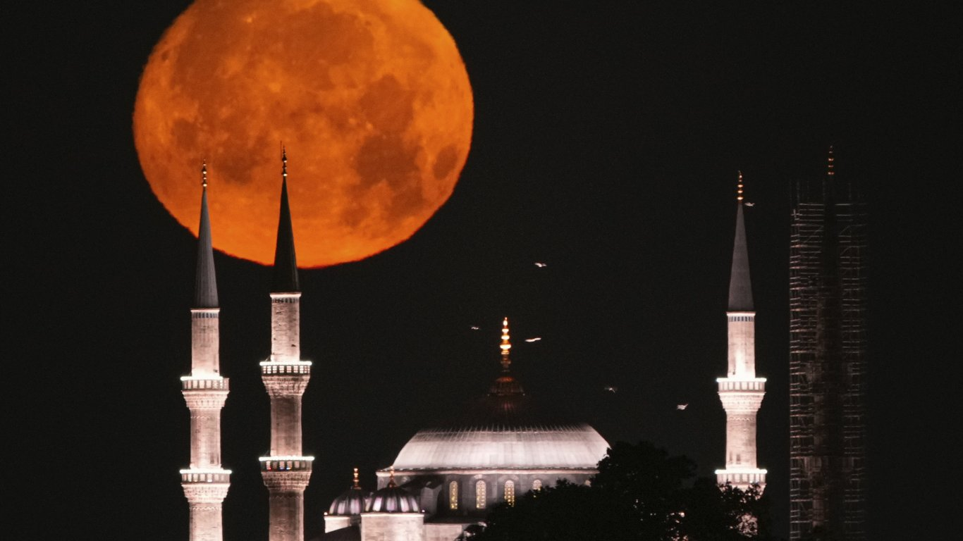 Где отдохнуть в Турции с детьми: лучшие семейные курорты