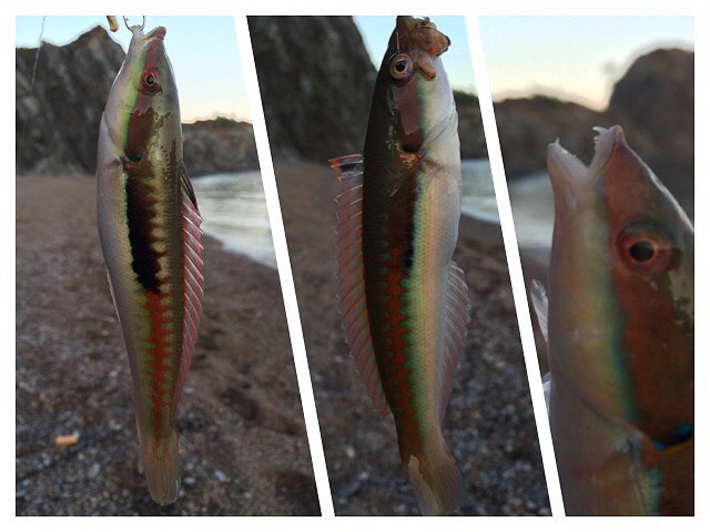 Куда поехать: Хабаровск или Турция? Сравниваем отдых!