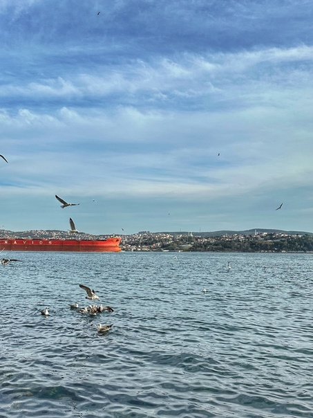 Незабываемое лето в Каше: 5 лучших пляжей для отдыха