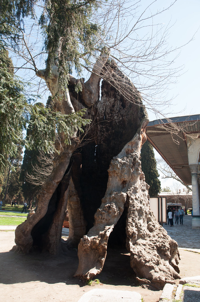 Приключения за границей: уникальные маршруты вместо Турции Приключения за границей: уникальные маршруты вместо Турции
