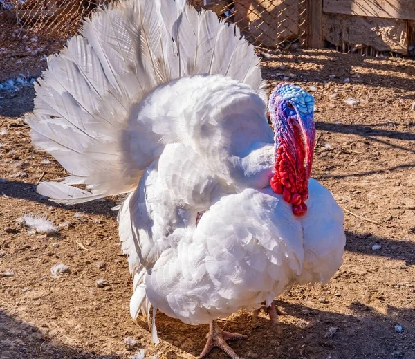 Семейный отдых на лучших курортах с аквапарками и весельем для всех Семейный отдых на лучших курортах с аквапарками и весельем для всех