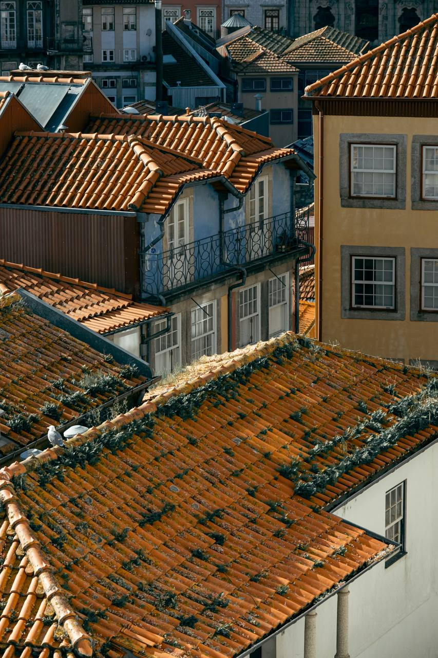 Топ-5 курортов Турции с доступными путевками в этом сезоне