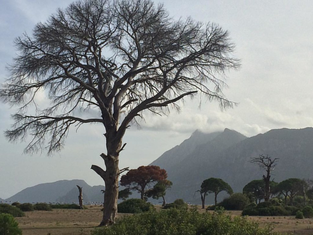Турецкие традиции в Алании: что стоит увидеть и попробовать