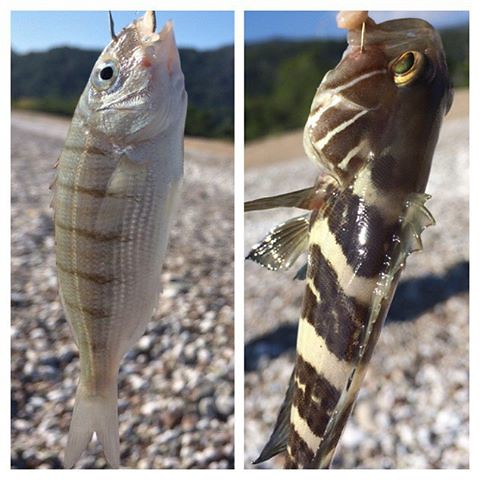 Турция для любителей экотуризма: маршруты и советы Турция для любителей экотуризма: маршруты и советы