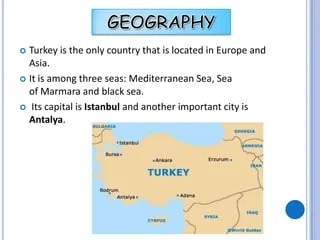 Вечерние развлечения и шоу на курортах куда пойти и что посмотреть