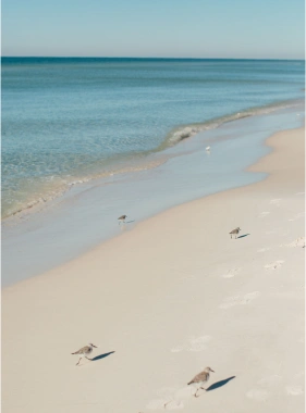 Выбор района и отеля в Минске путеводитель по комфортному проживанию